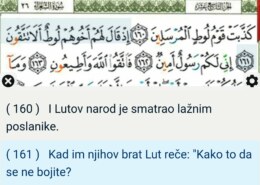 Zašto su neki Poslanici nazvani braćom svom narodu a neki nisu?