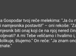 Kako su meleki znali i prije nego što je stvoren čovjek da će činiti nered na zemlji i proljevati krv?